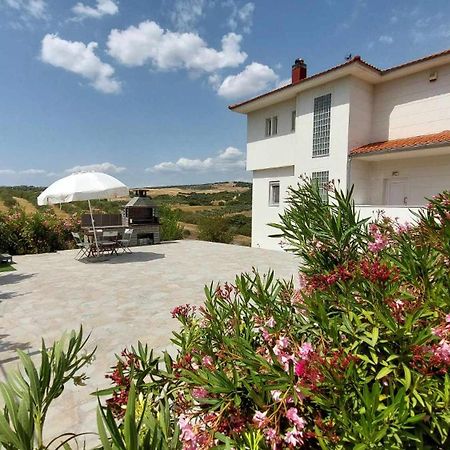 Daniil'S Luxury Villa And Spa Agios Antonios  Exterior photo