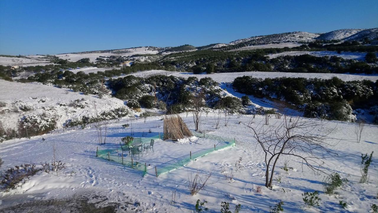 Daniil'S Luxury Villa And Spa Agios Antonios  Exterior photo